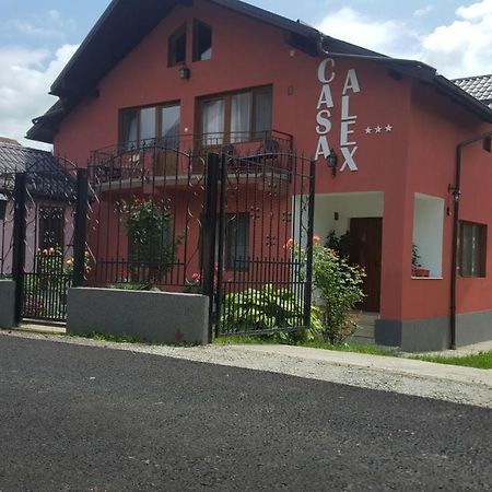 Vila Alex Calimanesti Exterior foto