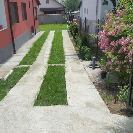 Vila Alex Calimanesti Exterior foto
