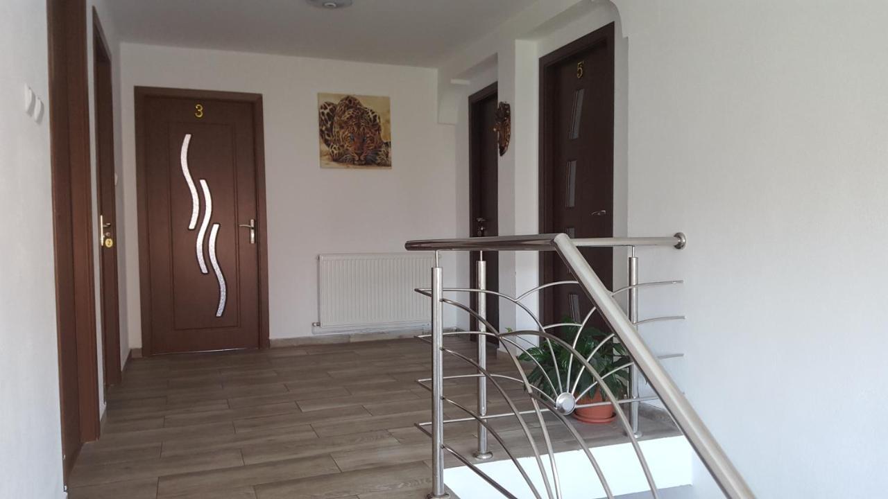 Vila Alex Calimanesti Exterior foto