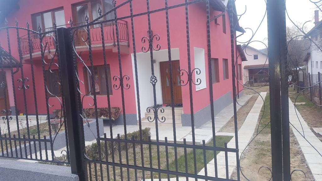 Vila Alex Calimanesti Exterior foto