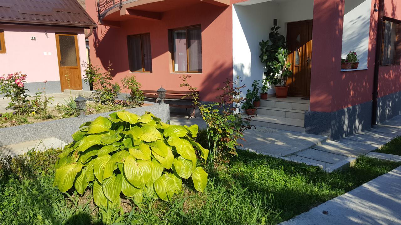 Vila Alex Calimanesti Exterior foto