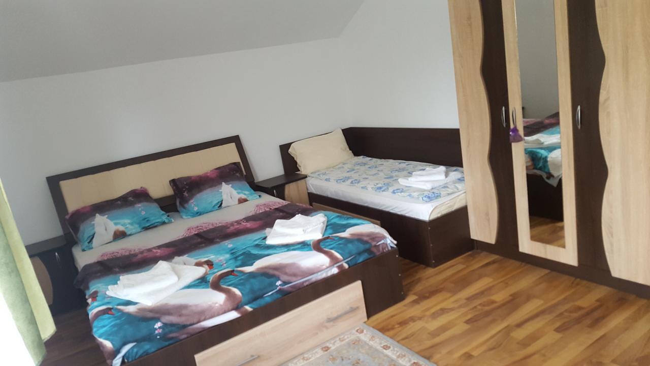 Vila Alex Calimanesti Exterior foto